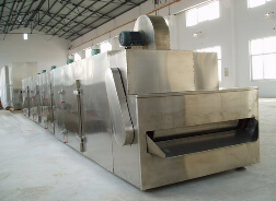 DWT網(wǎng)帶式脫水蔬菜干燥機(jī)
